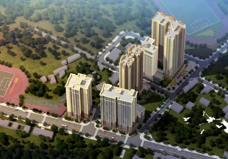 漢中市鎮(zhèn)巴縣河西社區(qū)東南片區(qū)拆遷改造項目